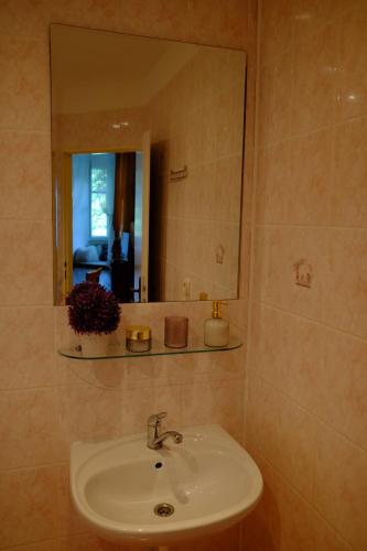 a bathroom with a sink and a mirror at Leier apartments in Piešťany