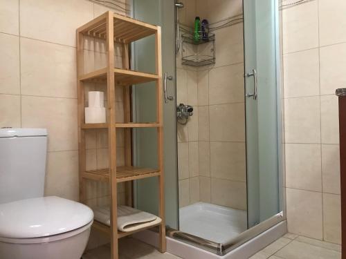 a shower with a glass door next to a toilet at Mystra Place in Nicosia