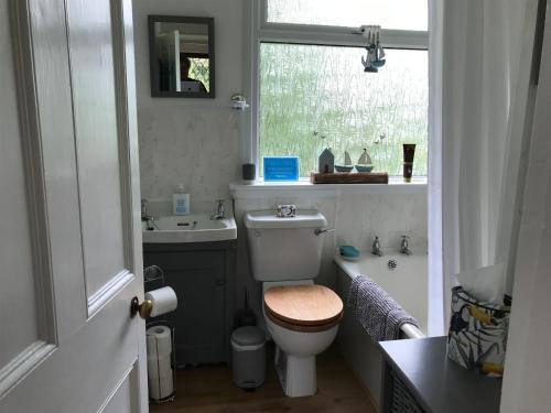a bathroom with a toilet and a sink and a window at Fuchsia Cottage in Porthallow