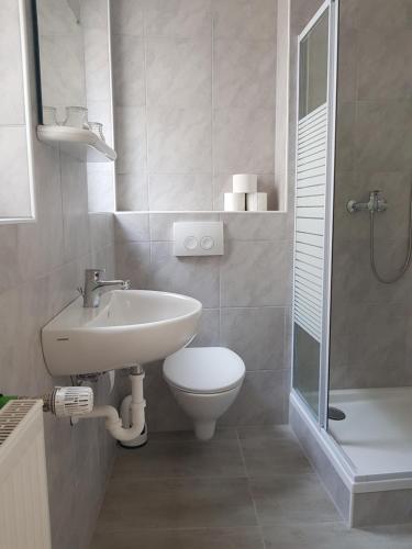 a bathroom with a sink and a toilet and a shower at Garni Hotel Post in Weißenstadt