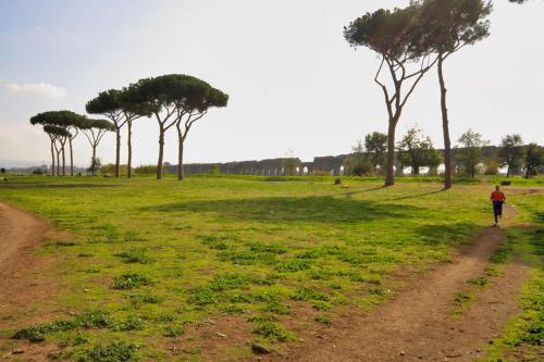 a person walking down a dirt road in a field with trees at City Guest House in Rome
