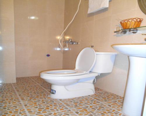 a bathroom with a toilet and a sink at Discovery Hotel in Hanoi