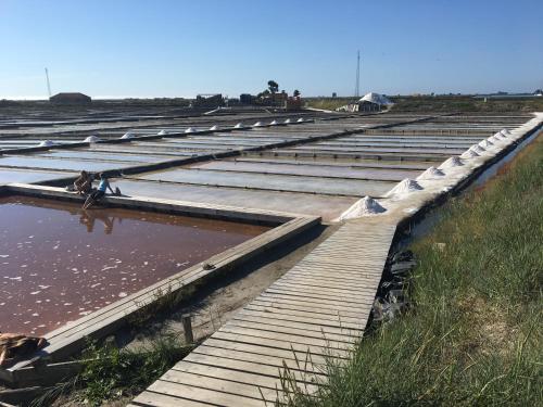 a group of bleachers filled with mud and water at Praia de Mira in Praia de Mira