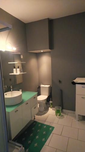 une salle de bain avec un lavabo et des toilettes dans l'établissement Quai de Versailles Nantes, à Nantes