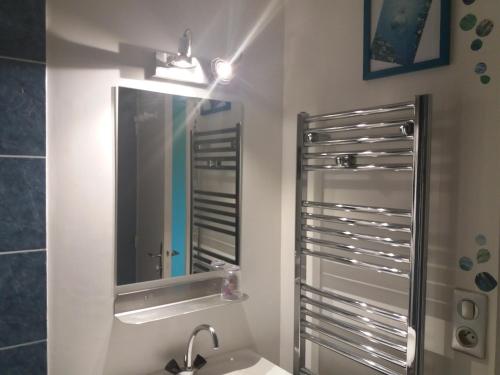 ein Bad mit einem Waschbecken und einem Spiegel in der Unterkunft studio aux pieds des pistes in Besse-et-Saint-Anastaise