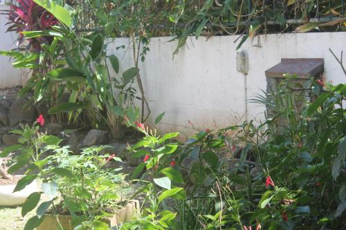 Jardin de l'établissement Auberge Miko