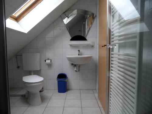 a bathroom with a toilet and a sink at Landsitz Riekenshof in Horumersiel in Wangerland