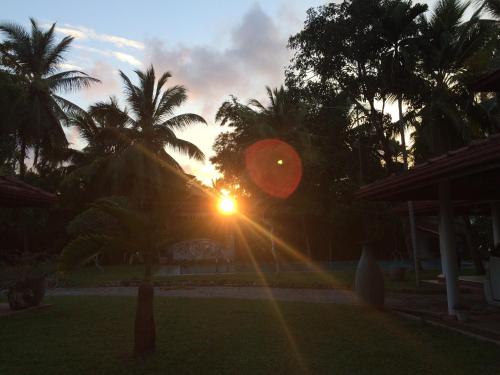 a sun setting behind palm trees in a yard at Villa 45 - Balapitiya in Balapitiya
