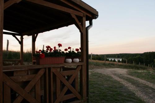 a porch with red flowers in a pot on a fence at Domek Triftberg in Chojna