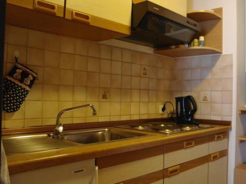 Η κουζίνα ή μικρή κουζίνα στο Ferienwohnung Kleine