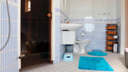 a bathroom with a sink and a toilet in a room at Veerpalu Villa in Otepää
