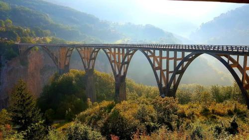 a train crossing a bridge over a valley at Holiday Home Vile Calimero in Žabljak