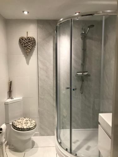 a bathroom with a shower and a toilet at The Connaught in Brighton & Hove