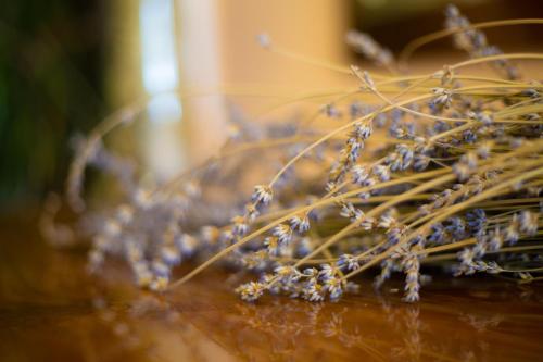 a bunch of lavender sitting on a table at Hotel Vila Tina in Zagreb