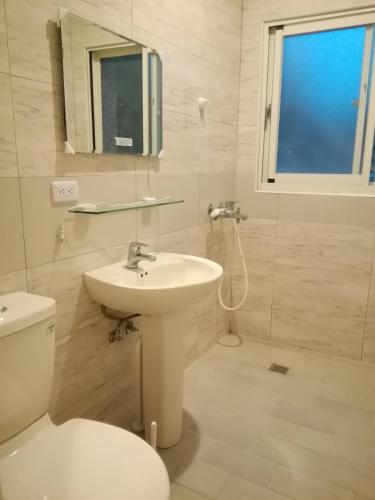a white bathroom with a toilet and a sink at 台東民宿 關山桃花心木民宿農場 in Guanshan