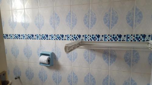 a bathroom with a toilet paper holder and blue and white tiles at Achill Houses in Thika