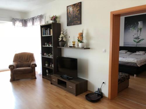 a living room with a television and a chair at Apartman c.8 Magnolie in Třeboň