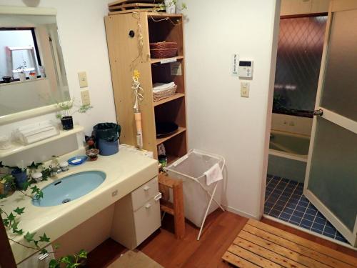 uma casa de banho com um lavatório e um chuveiro em Kumano Backpackers em Tanabe