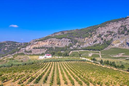 アルカモにあるVilla Bonifato vista sulle campagne e sul mare siciliano alloggio per uso turisticoの山の農場