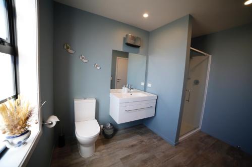 a bathroom with a white toilet and a sink at Pedalfish Cottages - Milky Way in Twizel