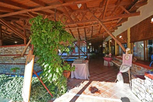 an outdoor patio with a table and a plant at Lydia Hotel in Krinídhes