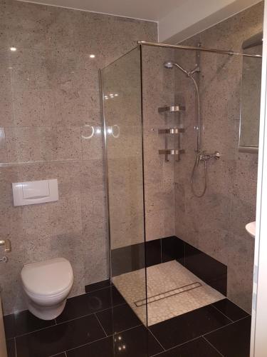La salle de bains est pourvue de toilettes et d'une douche en verre. dans l'établissement Wohnen im Souterrain einer Villa, à Herdecke