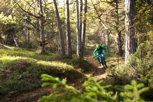 a person riding a bike on a trail in the woods at Apartments Wrolich in Latschach ober dem Faakersee