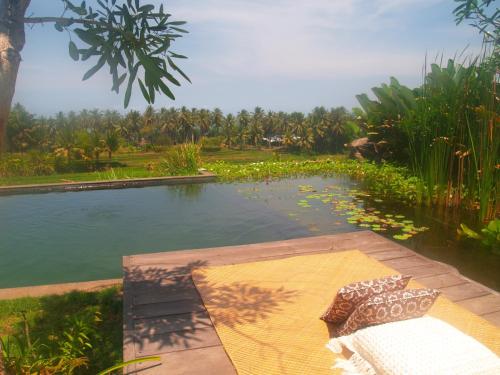 a pool of water with a bench and a table at Bali Beach Eco Villas Pondok Matekap in Selemadeg