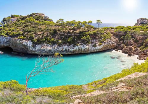 Paesaggio naturale nelle vicinanze dell'appartamento
