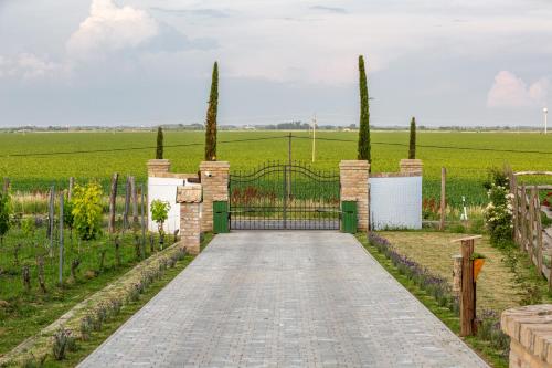 a driveway leading to a gate in a field at Provence Birtok in Decs