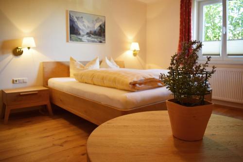 a hotel room with a bed and a table with a plant at Haus Partale in Oberstdorf