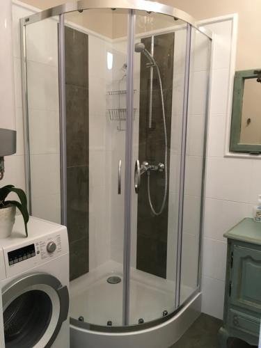 a shower in a bathroom with a washing machine at Ferienwohnung Mescherin 2 in Mescherin
