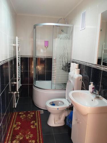 a bathroom with a toilet and a sink and a shower at Camere de închiriat AnneMaryy in Arbore