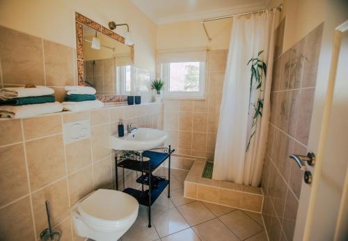 RaposeiraにあるCasa do Pocinhoのバスルーム(トイレ、洗面台、シャワー付)