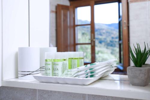 a shelf with stacks of paper towels and a plant at Agriturismo Le Celle in Cortona