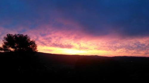 a sunset with a tree on a hill at Podere Mammoleta in Fattoria Marsiliana