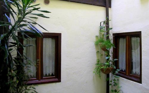 two windows on the side of a building with plants at Hostal Rural Elosta in Lekunberri
