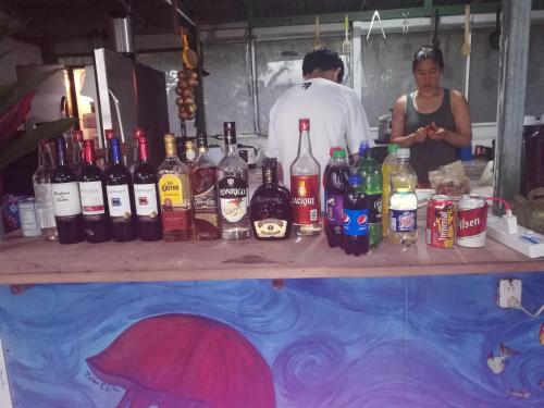 a man and woman standing behind a counter with bottles of alcohol at Life for Life Hostel Drake Bay Home of Sea Turtle Marine Conservation Project Osa Peninsula near San Josecito Beach in Drake