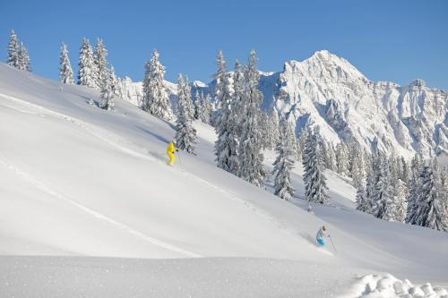 a group of people skiing down a snow covered mountain at Apartchalet Sisi- including Saalfelden Leogang Card in Saalfelden am Steinernen Meer