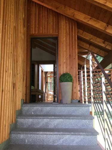 Fotografie z fotogalerie ubytování Franzn Apartments v destinaci Petersberg
