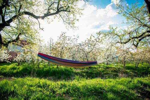 Taman di luar Deichkrönchen Ferienwohnung Altes Land Hamburg