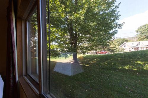 a window with a view of a tree in a yard at Commodores Inn in Stowe