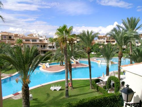 a view of a swimming pool with palm trees at Martina in Torrevieja