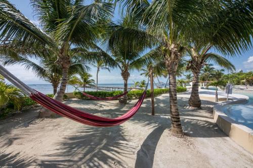 a hammock on a beach with palm trees at Belizean Cove Estates Beachfront Villas in San Pedro