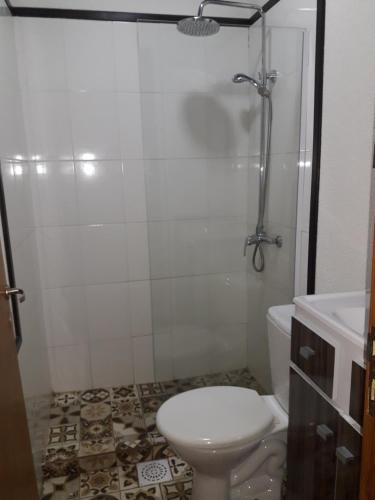 a bathroom with a shower and a toilet and a sink at Petit Hotel Caraguata in Puerto Iguazú