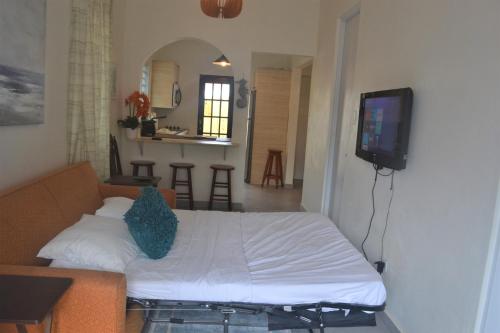 Gallery image of Dream Beach House by Sonsoleá Host in Luquillo