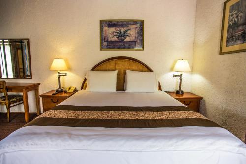 a bedroom with a large bed with two lamps at Real del Mar Golf Resort in Tijuana