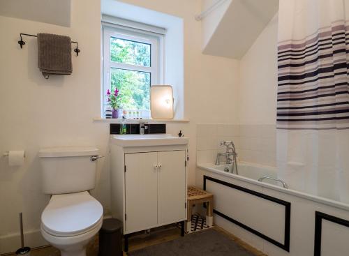 a bathroom with a toilet and a sink and a window at Lovely house next to Euchan River in Sanquhar