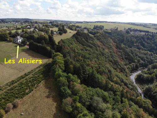 an aerial view of a forest of trees with a house at Les Alisiers in Nadrin
