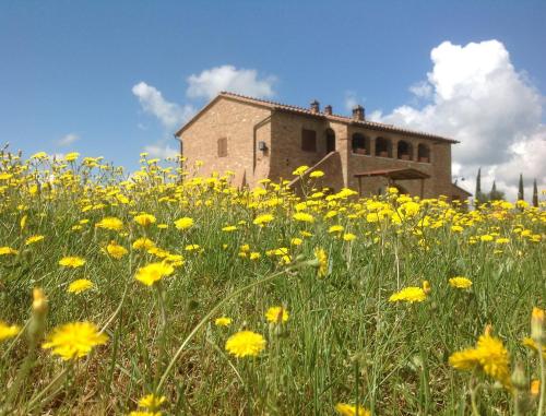 Podere Fornaci – Photos 4